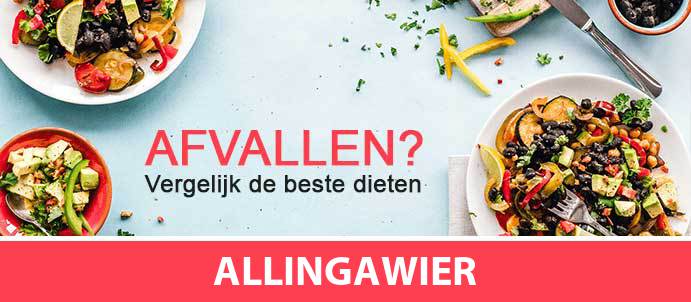 afvallen-diëtist-allingawier-8758