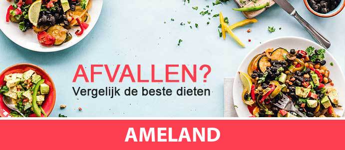 afvallen-diëtist-ameland-9164