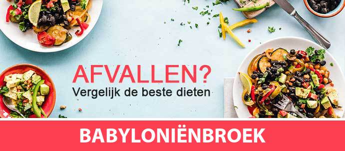 afvallen-diëtist-babylonienbroek-4269