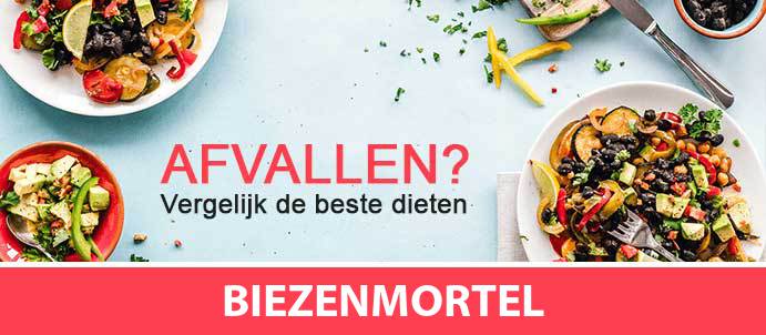 afvallen-diëtist-biezenmortel-5074