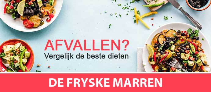 afvallen-diëtist-de-fryske-marren-8561