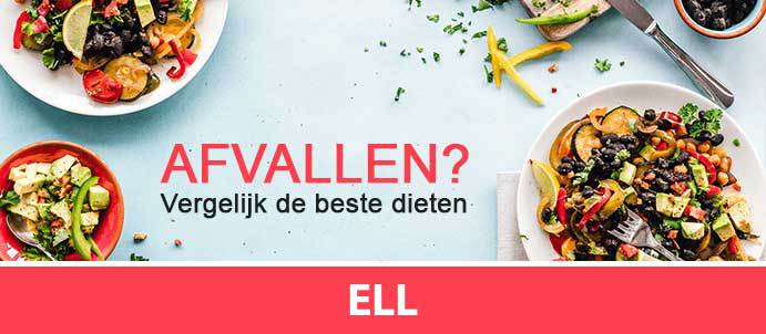 afvallen-diëtist-ell-6011