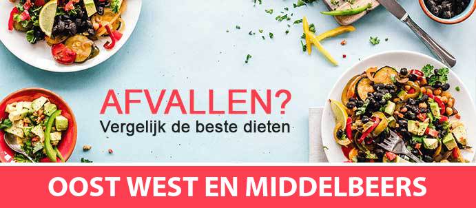 afvallen-diëtist-oost-west-en-middelbeers-5091